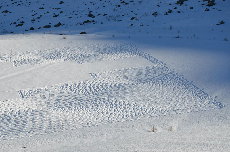 Illustration for article titled Single Man Turns Alpine Hillside Into Giant Space Invaders